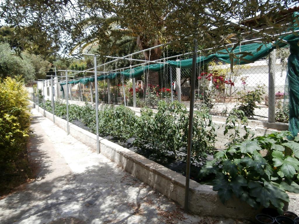 Olive House Lägenhet Elia Nikitis Exteriör bild